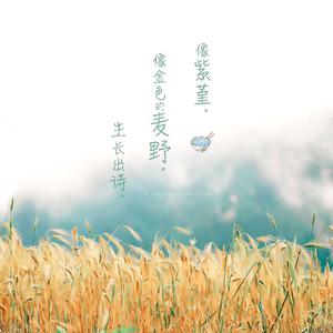 同性男晚上做那个视频
